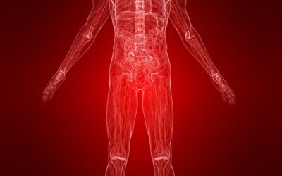Is Inflammation Really the Root of Disease?