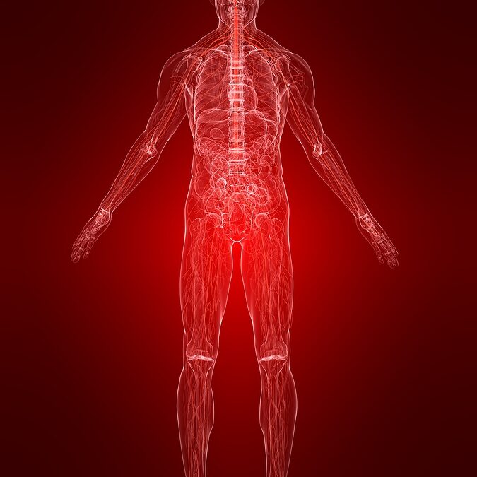 Is Inflammation Really the Root of Disease?